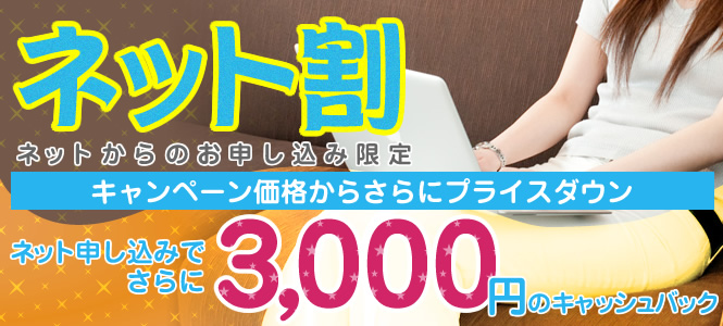 �ͥåȤ���Τ��������߸���ͥåȳ�Ϥޤ롪�ͥåȤ���ο������ߤ�3,000�߰�
