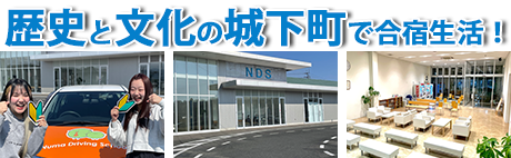 �¼�ư�ֳع�